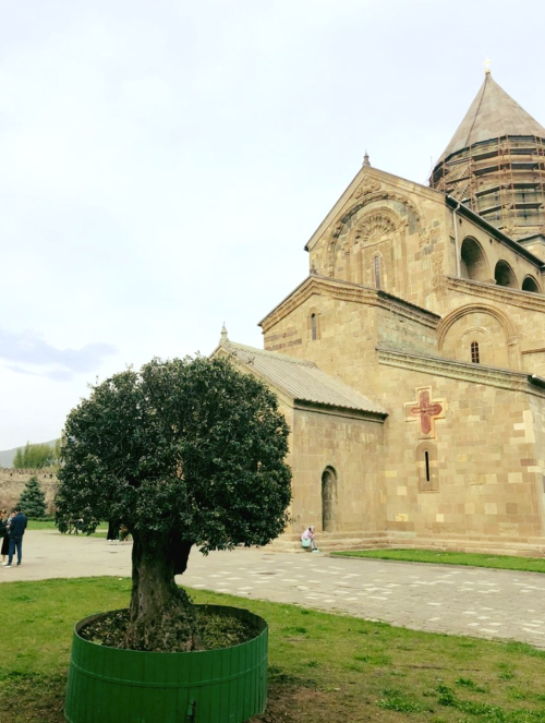 განხორციელებული პროექტები