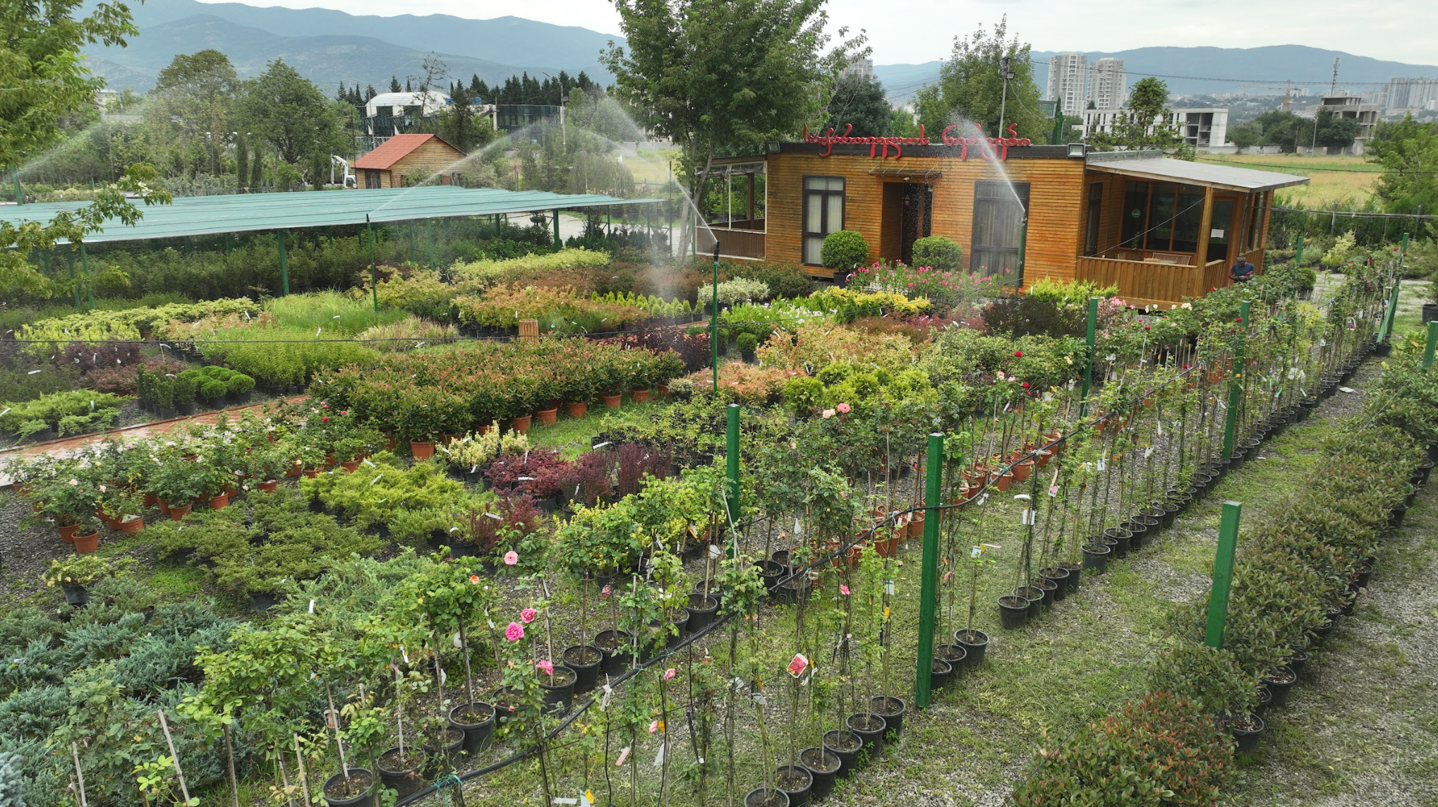 ჩვენ შესახებ